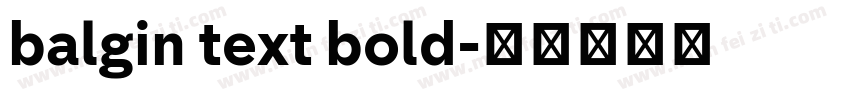 balgin text bold字体转换